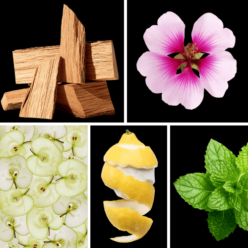 Preview: Duftnoten: Zedernholz, Geranie, Apfel, Zitrone, Minze